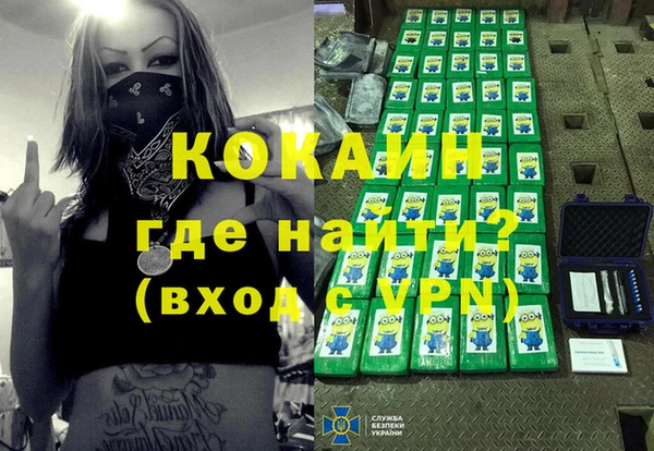 индика Абинск