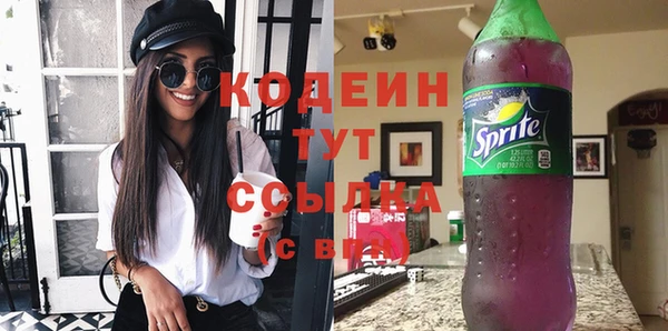 spice Няндома