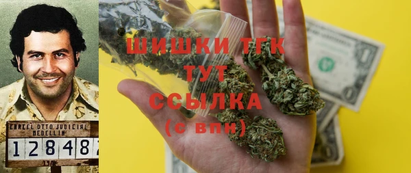 индика Абинск