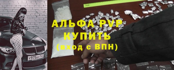 индика Абинск